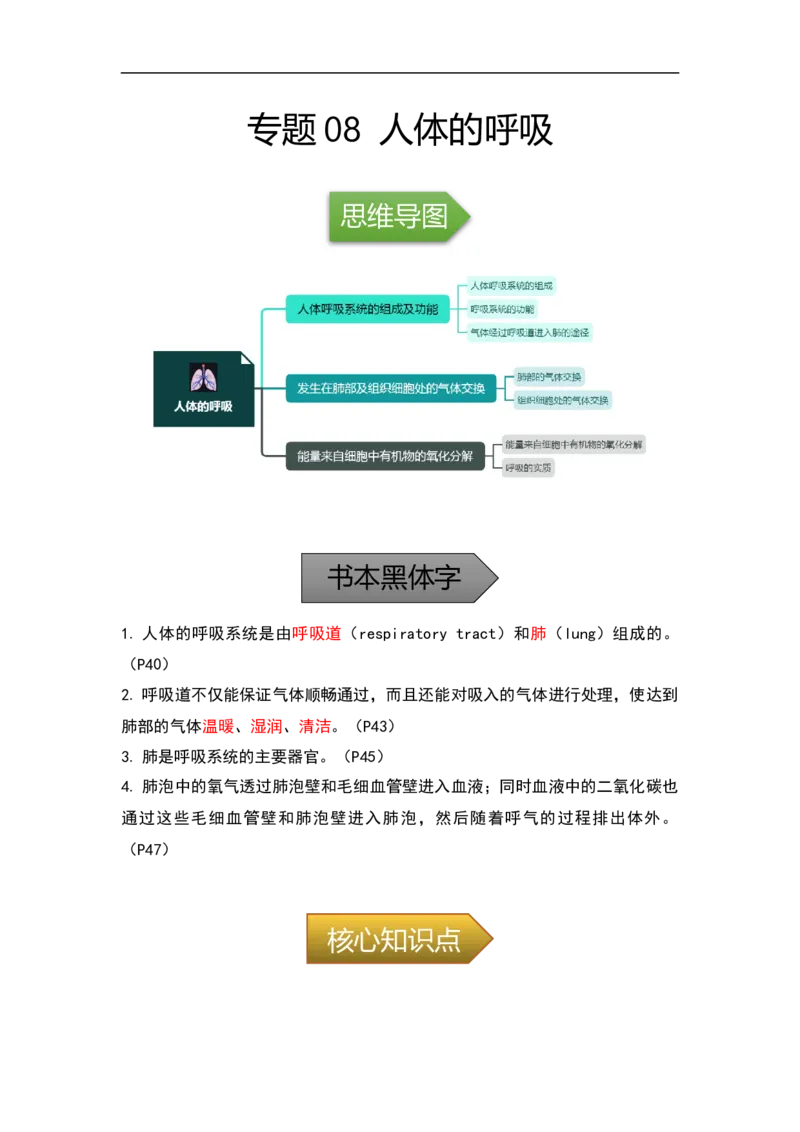 专题08人体的呼吸-备战2023年中考生物核心考点梳理与必背_6生物中考复习_2023年中考复习资料_专项复习_备战2023年中考生物核心考点梳理与必背