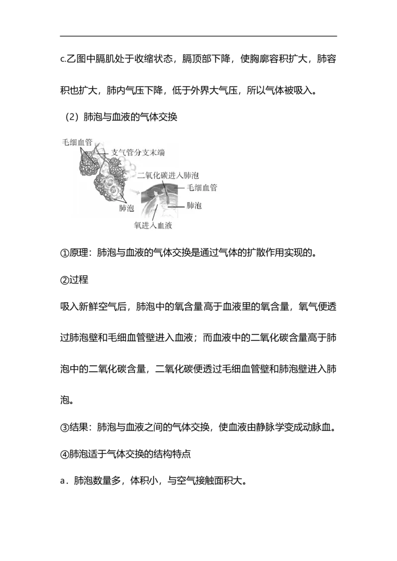 专题08人体的呼吸-备战2023年中考生物核心考点梳理与必背_6生物中考复习_2023年中考复习资料_专项复习_备战2023年中考生物核心考点梳理与必背