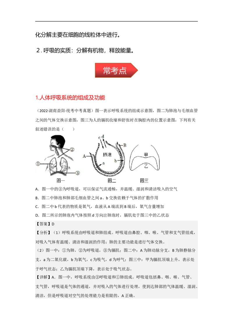 专题08人体的呼吸-备战2023年中考生物核心考点梳理与必背_6生物中考复习_2023年中考复习资料_专项复习_备战2023年中考生物核心考点梳理与必背