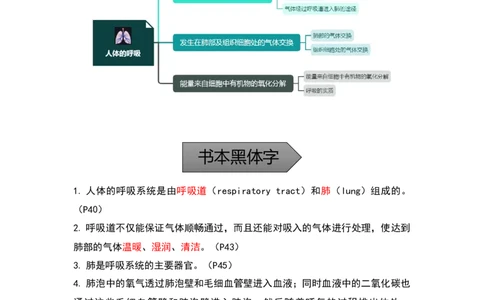 专题08人体的呼吸-备战2023年中考生物核心考点梳理与必背_6生物中考复习_2023年中考复习资料_专项复习_备战2023年中考生物核心考点梳理与必背