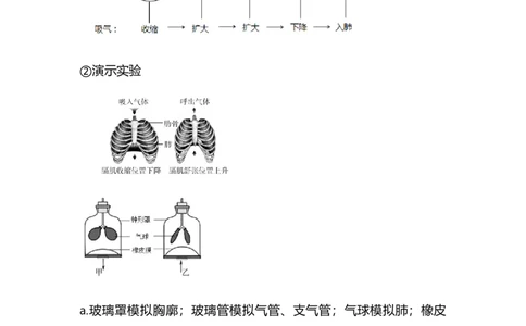 专题08人体的呼吸-备战2023年中考生物核心考点梳理与必背_6生物中考复习_2023年中考复习资料_专项复习_备战2023年中考生物核心考点梳理与必背