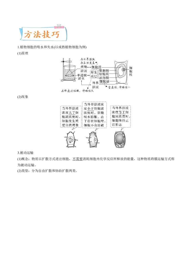 考向03细胞内物质输入和输出-备战2023年高考生物一轮复习考点微专题（全国通用）（解析版）_通用版（老高考）复习资料_2023年复习资料_一轮复习