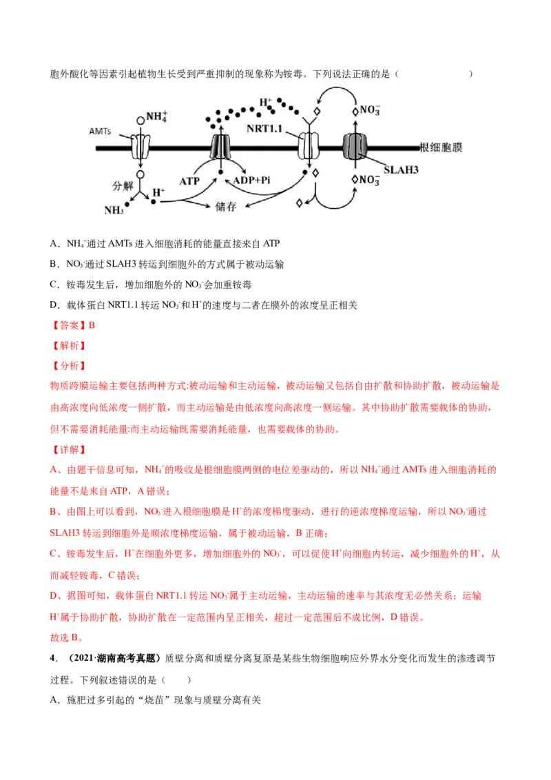考向03细胞内物质输入和输出-备战2023年高考生物一轮复习考点微专题（全国通用）（解析版）_通用版（老高考）复习资料_2023年复习资料_一轮复习