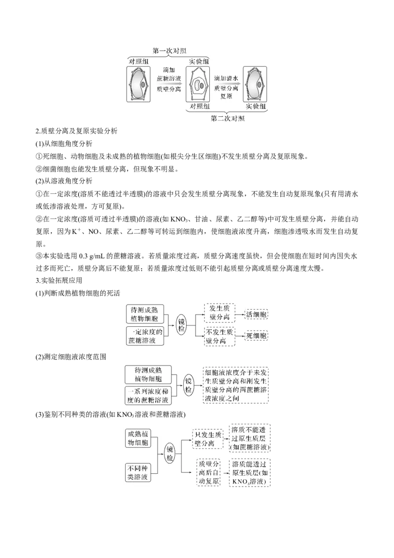 考向03细胞内物质输入和输出-备战2023年高考生物一轮复习考点微专题（全国通用）（解析版）_通用版（老高考）复习资料_2023年复习资料_一轮复习