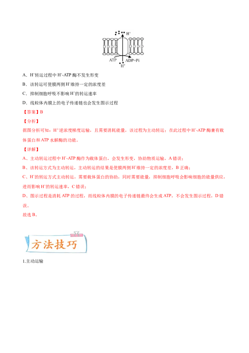 考向03细胞内物质输入和输出-备战2023年高考生物一轮复习考点微专题（全国通用）（解析版）_通用版（老高考）复习资料_2023年复习资料_一轮复习