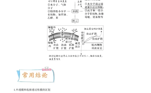 考向03细胞内物质输入和输出-备战2023年高考生物一轮复习考点微专题（全国通用）（解析版）_通用版（老高考）复习资料_2023年复习资料_一轮复习