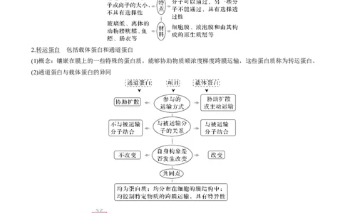 考向03细胞内物质输入和输出-备战2023年高考生物一轮复习考点微专题（全国通用）（解析版）_通用版（老高考）复习资料_2023年复习资料_一轮复习