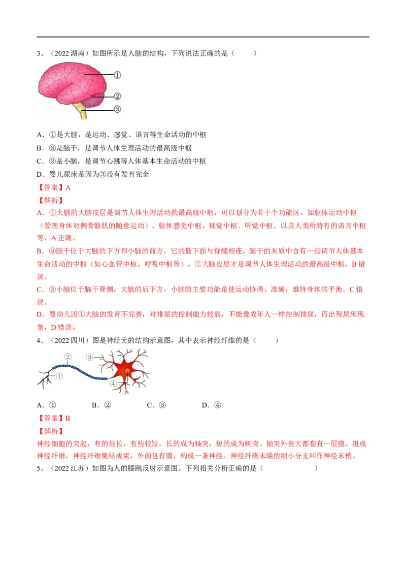 专题14人体生命活动的调节（解析版）_6生物中考复习_2023年中考复习资料_一轮复习_2023年中考生物一轮复习讲练测_专题14人体生命活动的调节（专题精练）-2023年中考生物一轮复习讲练测