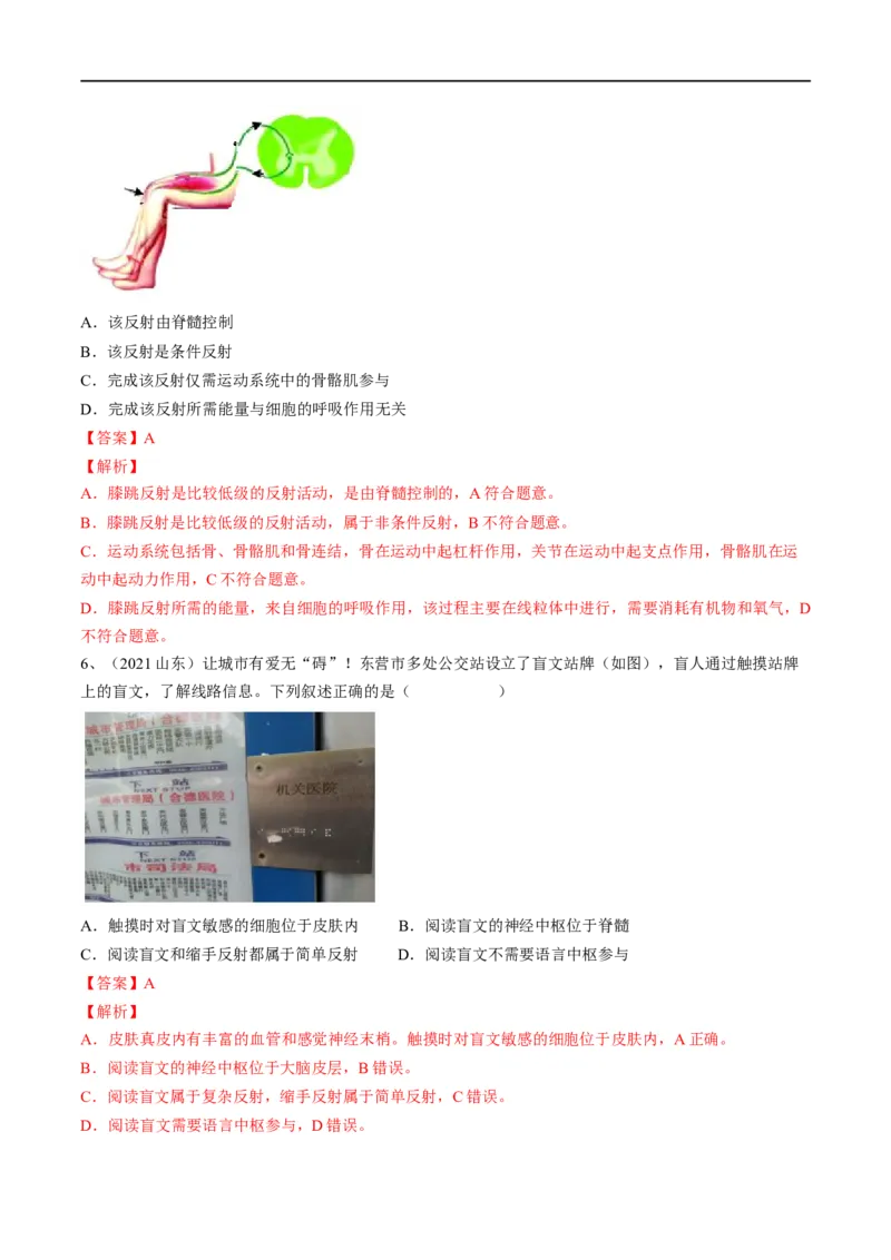 专题14人体生命活动的调节（解析版）_6生物中考复习_2023年中考复习资料_一轮复习_2023年中考生物一轮复习讲练测_专题14人体生命活动的调节（专题精练）-2023年中考生物一轮复习讲练测