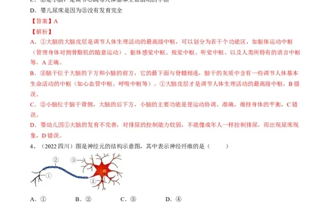 专题14人体生命活动的调节（解析版）_6生物中考复习_2023年中考复习资料_一轮复习_2023年中考生物一轮复习讲练测_专题14人体生命活动的调节（专题精练）-2023年中考生物一轮复习讲练测