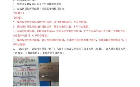 专题14人体生命活动的调节（解析版）_6生物中考复习_2023年中考复习资料_一轮复习_2023年中考生物一轮复习讲练测_专题14人体生命活动的调节（专题精练）-2023年中考生物一轮复习讲练测