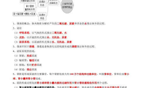 专题13人体内物质的运输-2022年中考生物一轮复习抓重点考典型（人教版）（原卷版）_6生物中考复习_2023年中考复习资料_一轮复习_2022年中考生物一轮复习抓重点考典型（人教版）
