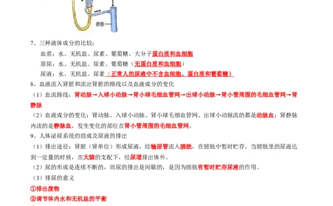 专题13人体内物质的运输-2022年中考生物一轮复习抓重点考典型（人教版）（原卷版）_6生物中考复习_2023年中考复习资料_一轮复习_2022年中考生物一轮复习抓重点考典型（人教版）