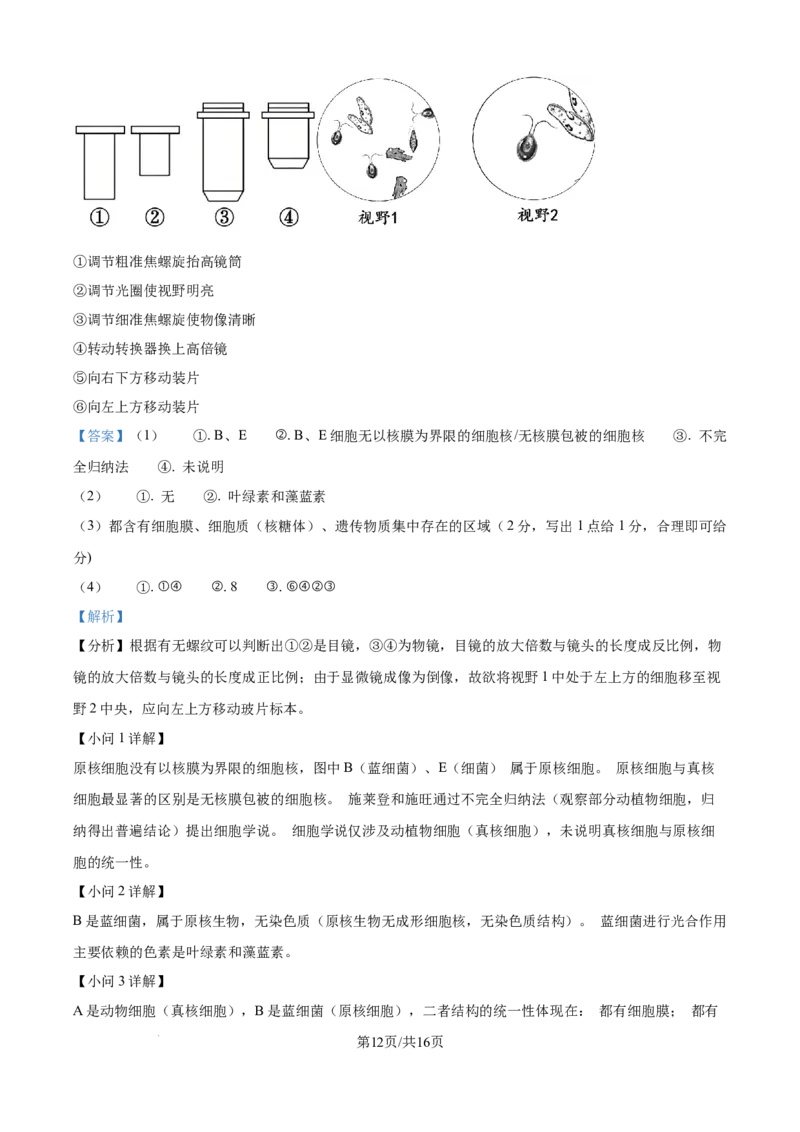 精品解析：河北省NT20联考2025-2026学年高一上学期10月月考生物试题（解析版）_2025年10月高一试卷_251029河北省NT20名校联合体2025-2026学年高一上学期10月联考