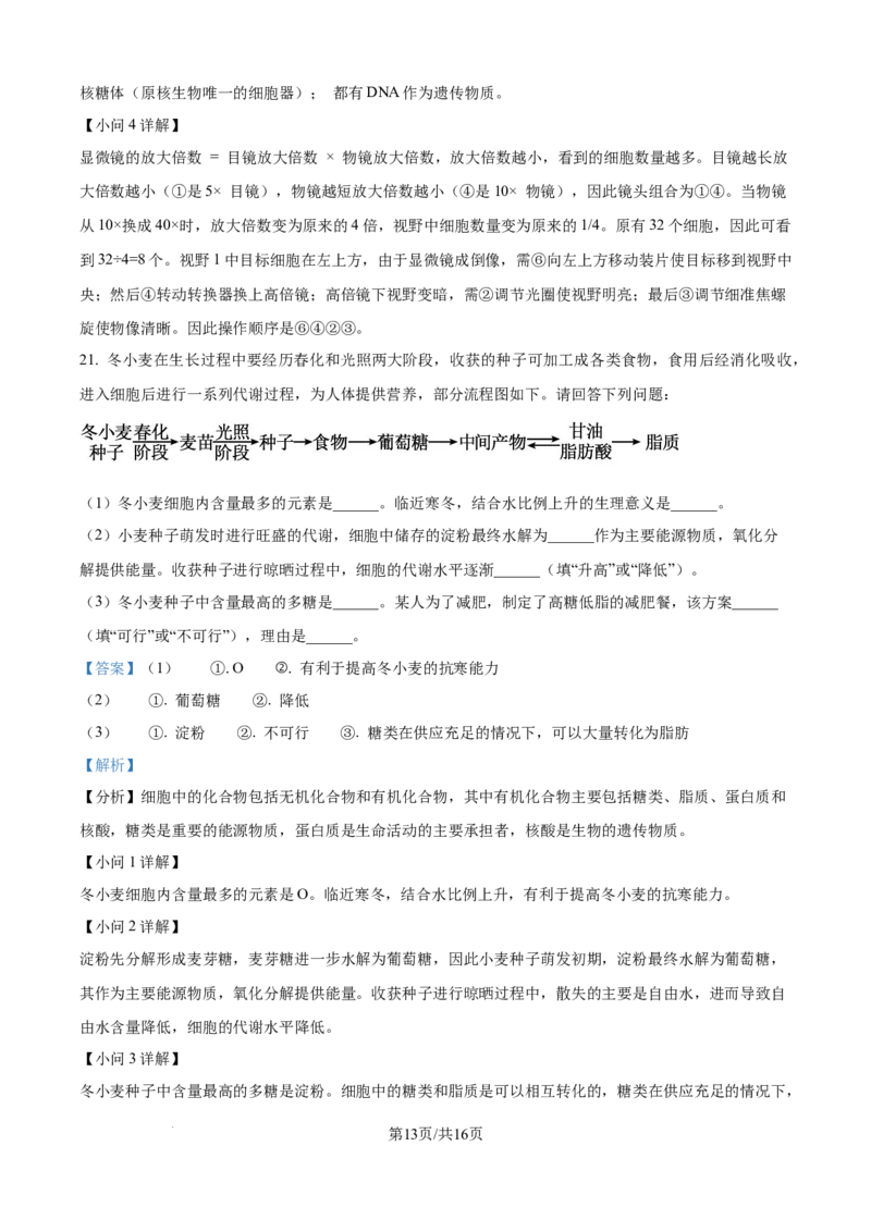 精品解析：河北省NT20联考2025-2026学年高一上学期10月月考生物试题（解析版）_2025年10月高一试卷_251029河北省NT20名校联合体2025-2026学年高一上学期10月联考