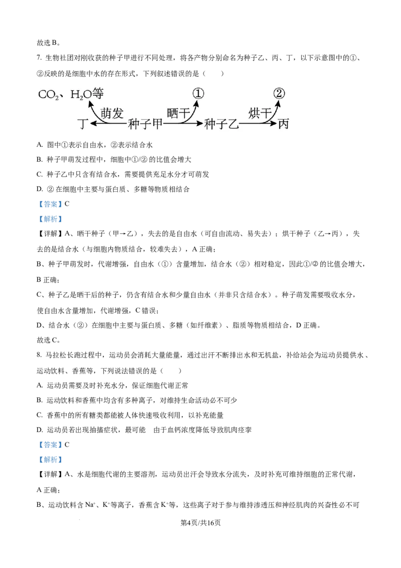 精品解析：河北省NT20联考2025-2026学年高一上学期10月月考生物试题（解析版）_2025年10月高一试卷_251029河北省NT20名校联合体2025-2026学年高一上学期10月联考