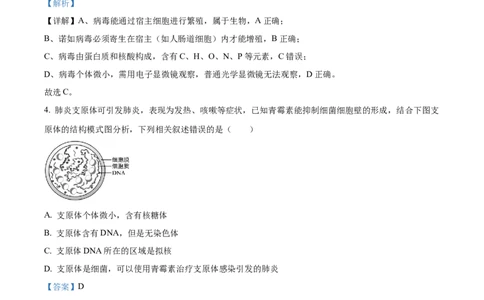 精品解析：河北省NT20联考2025-2026学年高一上学期10月月考生物试题（解析版）_2025年10月高一试卷_251029河北省NT20名校联合体2025-2026学年高一上学期10月联考