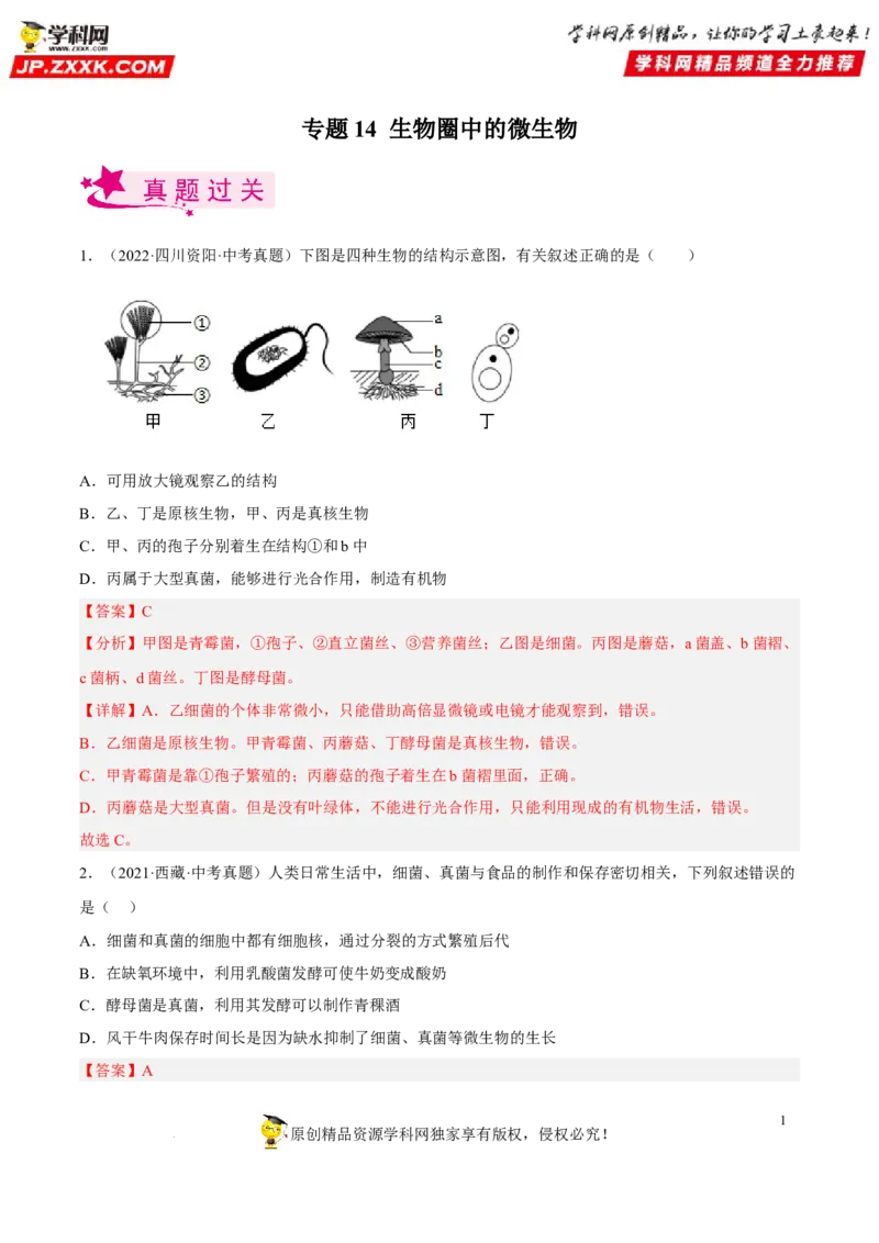 专题14生物圈中的微生物（习题帮）（解析版）_6生物中考复习_2023年中考复习资料_一轮复习_备战2023年中考生物一轮复习考点帮（全国通用）288506454