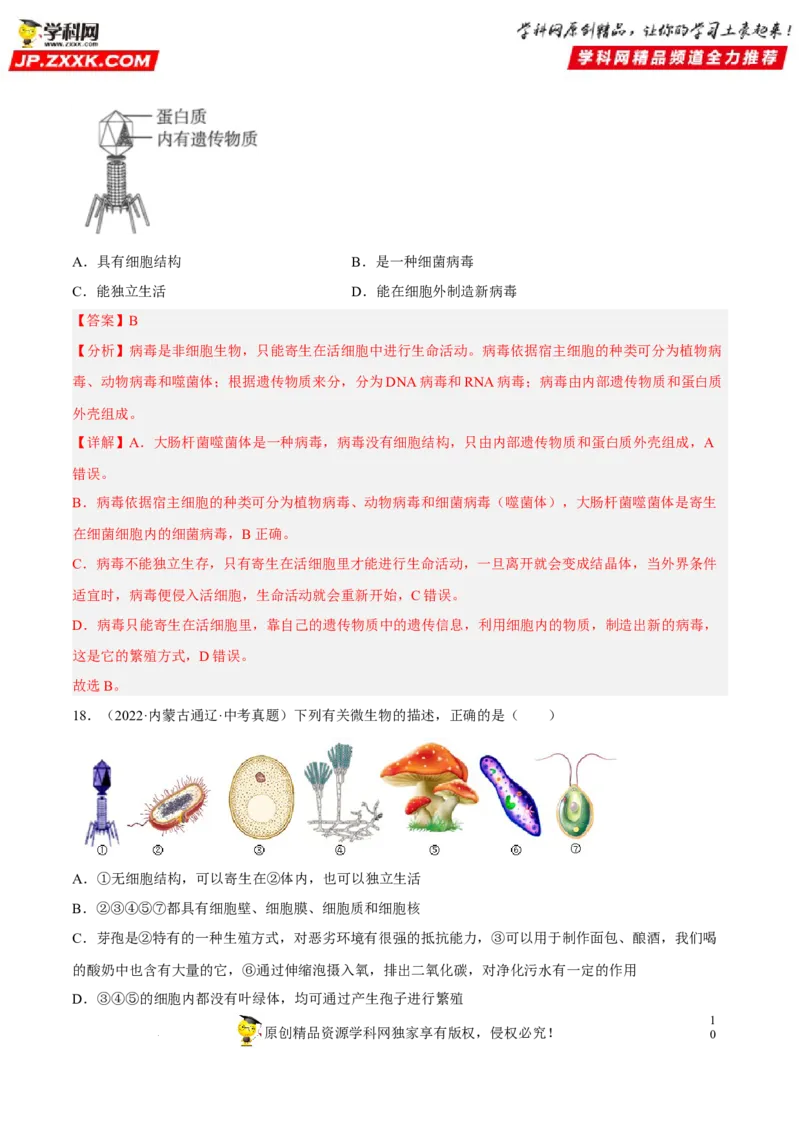 专题14生物圈中的微生物（习题帮）（解析版）_6生物中考复习_2023年中考复习资料_一轮复习_备战2023年中考生物一轮复习考点帮（全国通用）288506454