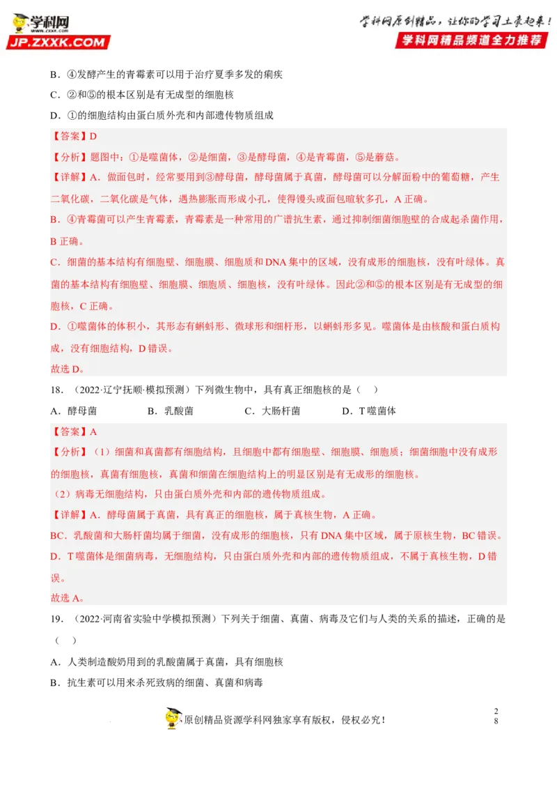 专题14生物圈中的微生物（习题帮）（解析版）_6生物中考复习_2023年中考复习资料_一轮复习_备战2023年中考生物一轮复习考点帮（全国通用）288506454