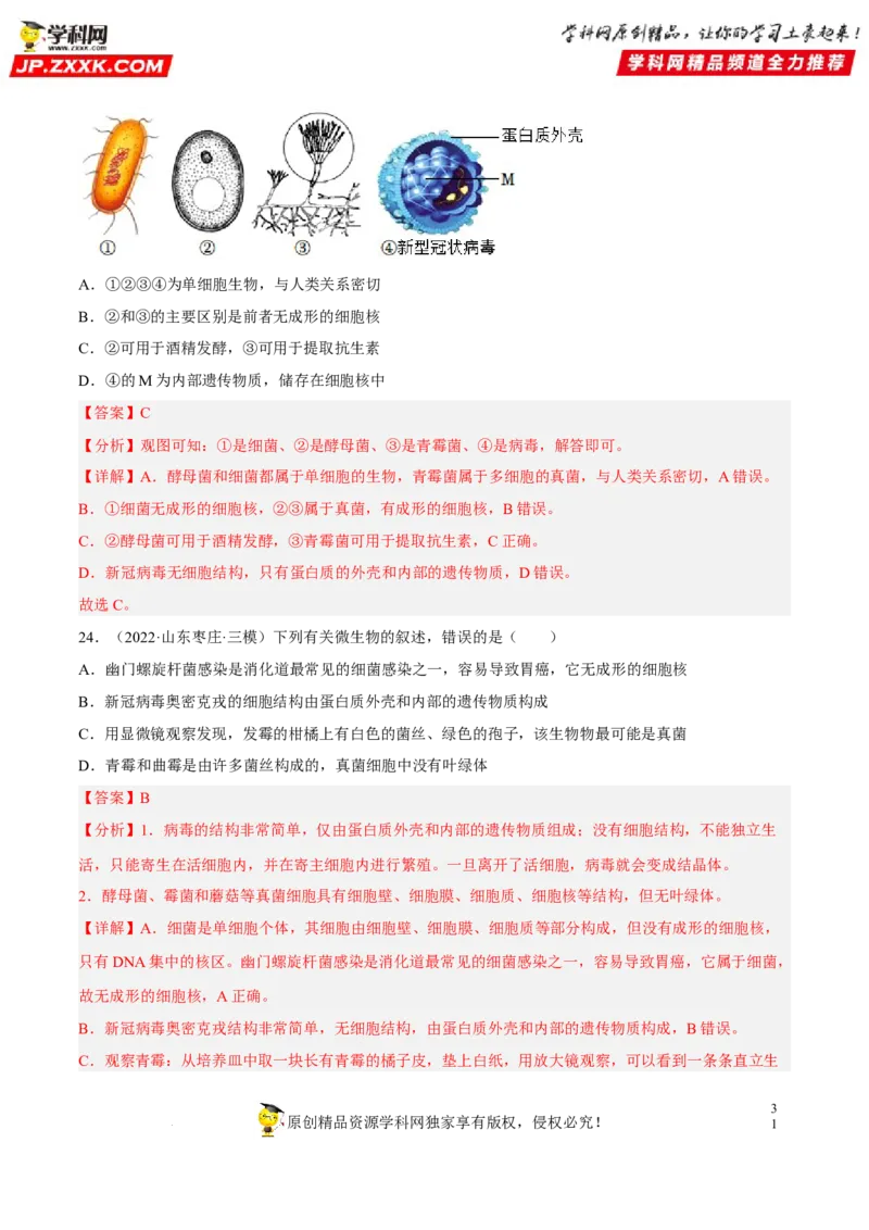 专题14生物圈中的微生物（习题帮）（解析版）_6生物中考复习_2023年中考复习资料_一轮复习_备战2023年中考生物一轮复习考点帮（全国通用）288506454