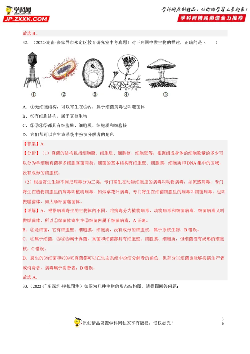 专题14生物圈中的微生物（习题帮）（解析版）_6生物中考复习_2023年中考复习资料_一轮复习_备战2023年中考生物一轮复习考点帮（全国通用）288506454