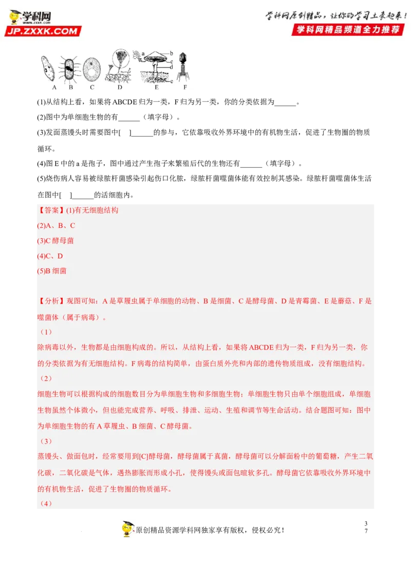 专题14生物圈中的微生物（习题帮）（解析版）_6生物中考复习_2023年中考复习资料_一轮复习_备战2023年中考生物一轮复习考点帮（全国通用）288506454
