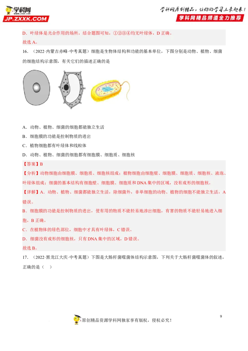 专题14生物圈中的微生物（习题帮）（解析版）_6生物中考复习_2023年中考复习资料_一轮复习_备战2023年中考生物一轮复习考点帮（全国通用）288506454