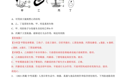 专题14生物圈中的微生物（习题帮）（解析版）_6生物中考复习_2023年中考复习资料_一轮复习_备战2023年中考生物一轮复习考点帮（全国通用）288506454