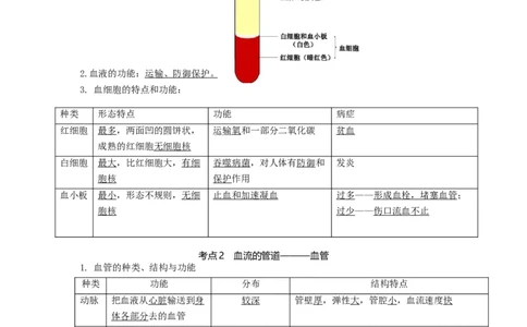 专题10人体内物质的运输和废物的排出（知识帮）-备战2023年中考生物一轮复习考点帮（全国通用）_6生物中考复习_2023年中考复习资料_一轮复习