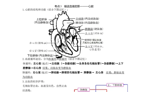专题10人体内物质的运输和废物的排出（知识帮）-备战2023年中考生物一轮复习考点帮（全国通用）_6生物中考复习_2023年中考复习资料_一轮复习