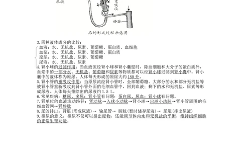 专题10人体内物质的运输和废物的排出（知识帮）-备战2023年中考生物一轮复习考点帮（全国通用）_6生物中考复习_2023年中考复习资料_一轮复习
