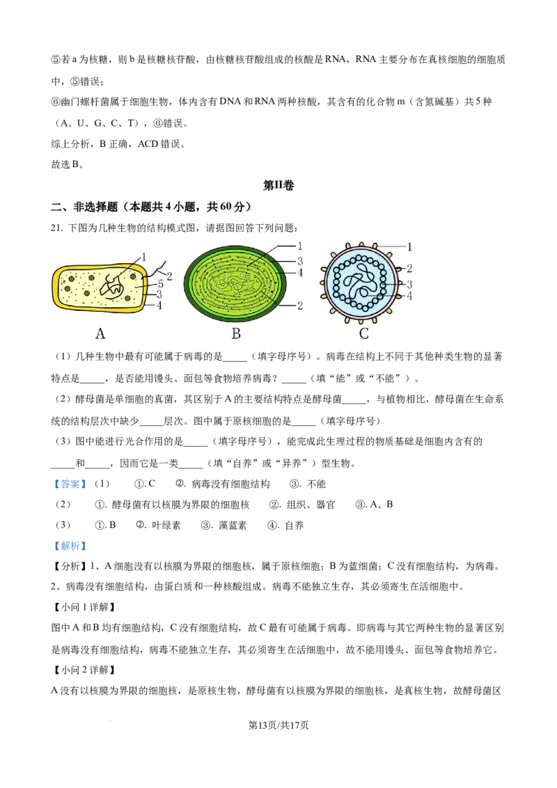 精品解析：福建省厦门英才学校2025-2026学年高一上学期第一次考试生物试题（解析版）_2025年10月高一试卷_251011福建省厦门英才学校2025-2026学年高一上学期第一次月考