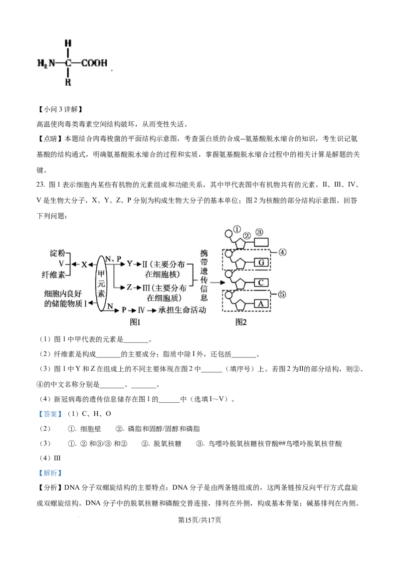 精品解析：福建省厦门英才学校2025-2026学年高一上学期第一次考试生物试题（解析版）_2025年10月高一试卷_251011福建省厦门英才学校2025-2026学年高一上学期第一次月考