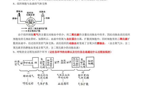 专题11人体的呼吸-2022年中考生物一轮复习抓重点考典型（人教版）（原卷版）_6生物中考复习_2023年中考复习资料_一轮复习_2022年中考生物一轮复习抓重点考典型（人教版）
