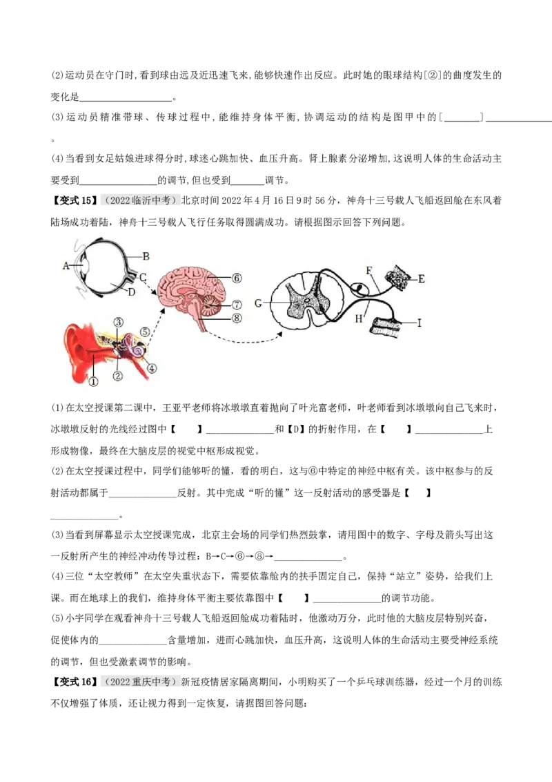 专题15人体生命活动的调节（原卷版）_6生物中考复习_2023年中考复习资料_专项复习_2023年中考生物总复习真题探究与变式训练（全国通用）