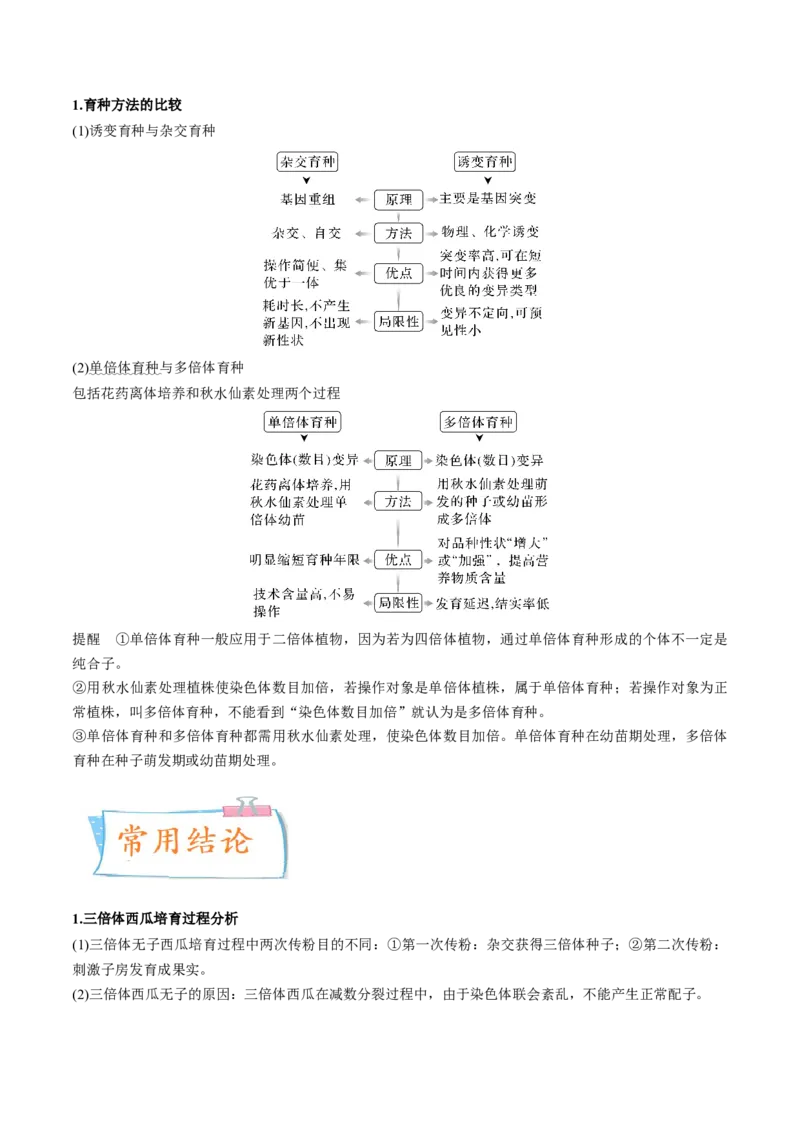 考向14基因突变及其他变异-备战2023年高考生物一轮复习考点微专题（全国通用）（原卷版）(1)_通用版（老高考）复习资料_2023年复习资料_一轮复习