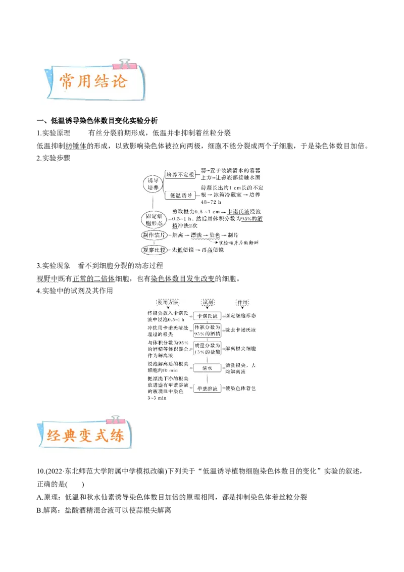 考向14基因突变及其他变异-备战2023年高考生物一轮复习考点微专题（全国通用）（原卷版）(1)_通用版（老高考）复习资料_2023年复习资料_一轮复习