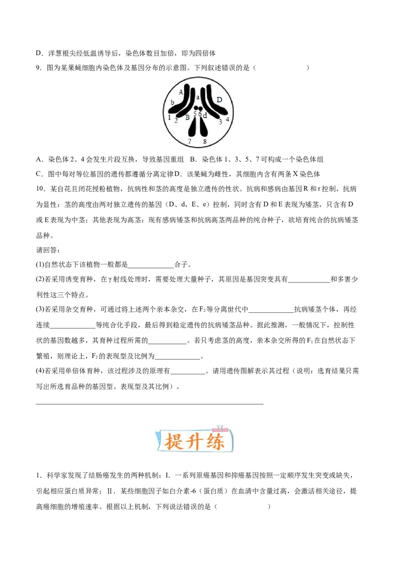 考向14基因突变及其他变异-备战2023年高考生物一轮复习考点微专题（全国通用）（原卷版）(1)_通用版（老高考）复习资料_2023年复习资料_一轮复习