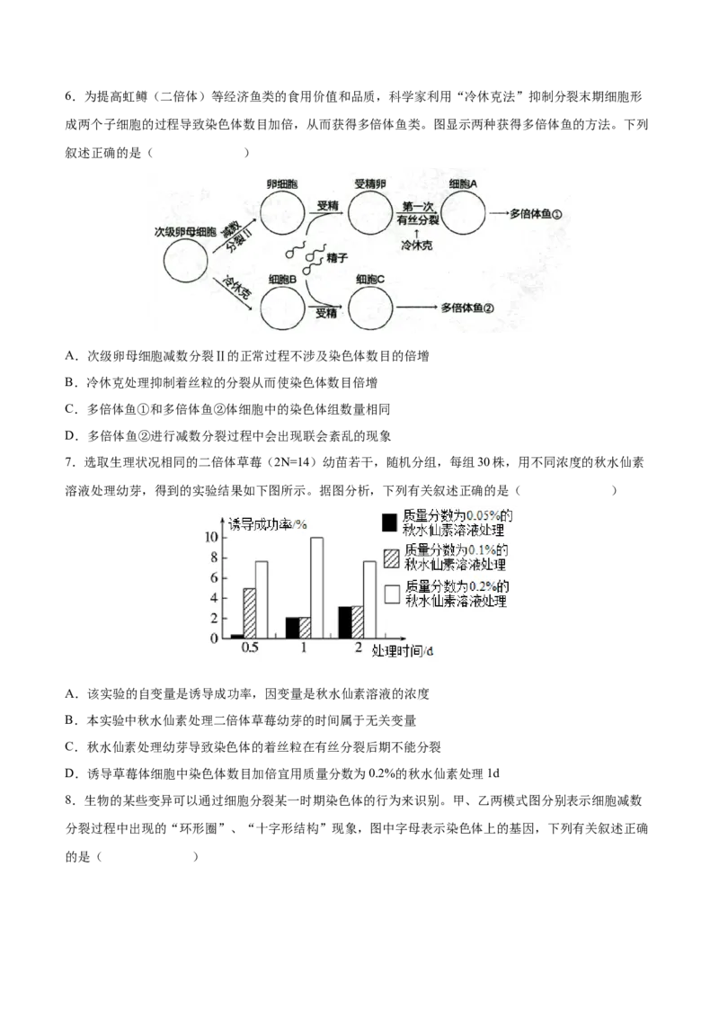 考向14基因突变及其他变异-备战2023年高考生物一轮复习考点微专题（全国通用）（原卷版）(1)_通用版（老高考）复习资料_2023年复习资料_一轮复习