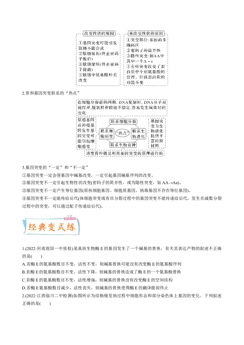 考向14基因突变及其他变异-备战2023年高考生物一轮复习考点微专题（全国通用）（原卷版）(1)_通用版（老高考）复习资料_2023年复习资料_一轮复习