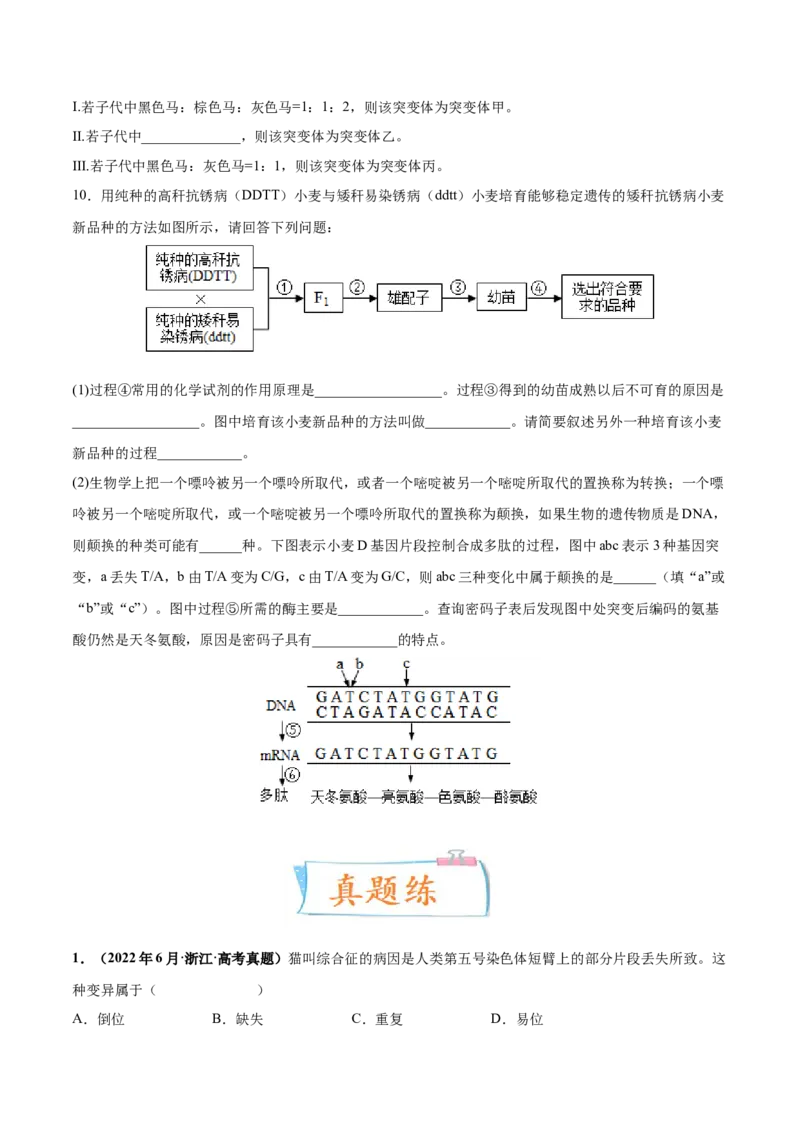 考向14基因突变及其他变异-备战2023年高考生物一轮复习考点微专题（全国通用）（原卷版）(1)_通用版（老高考）复习资料_2023年复习资料_一轮复习