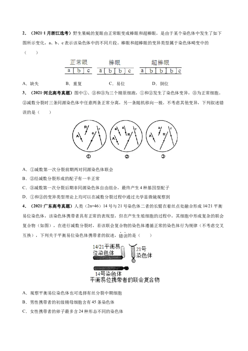 考向14基因突变及其他变异-备战2023年高考生物一轮复习考点微专题（全国通用）（原卷版）(1)_通用版（老高考）复习资料_2023年复习资料_一轮复习