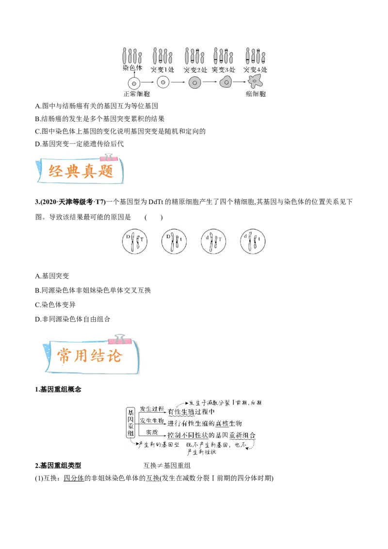 考向14基因突变及其他变异-备战2023年高考生物一轮复习考点微专题（全国通用）（原卷版）(1)_通用版（老高考）复习资料_2023年复习资料_一轮复习