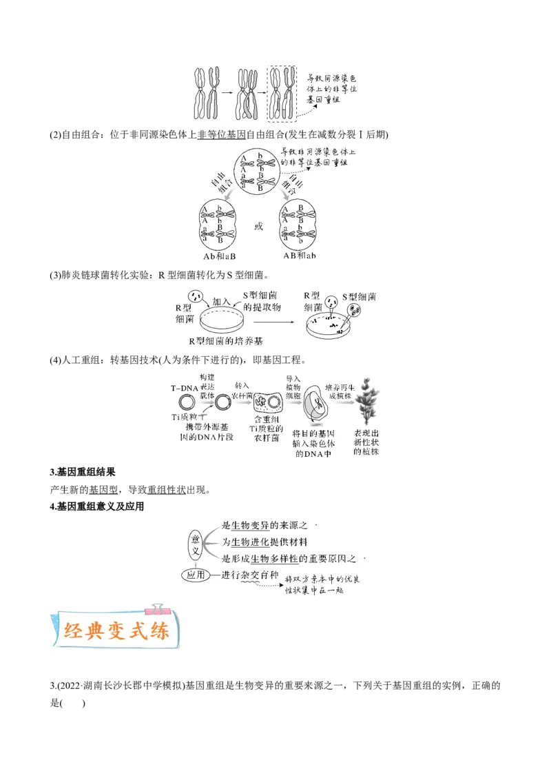 考向14基因突变及其他变异-备战2023年高考生物一轮复习考点微专题（全国通用）（原卷版）(1)_通用版（老高考）复习资料_2023年复习资料_一轮复习