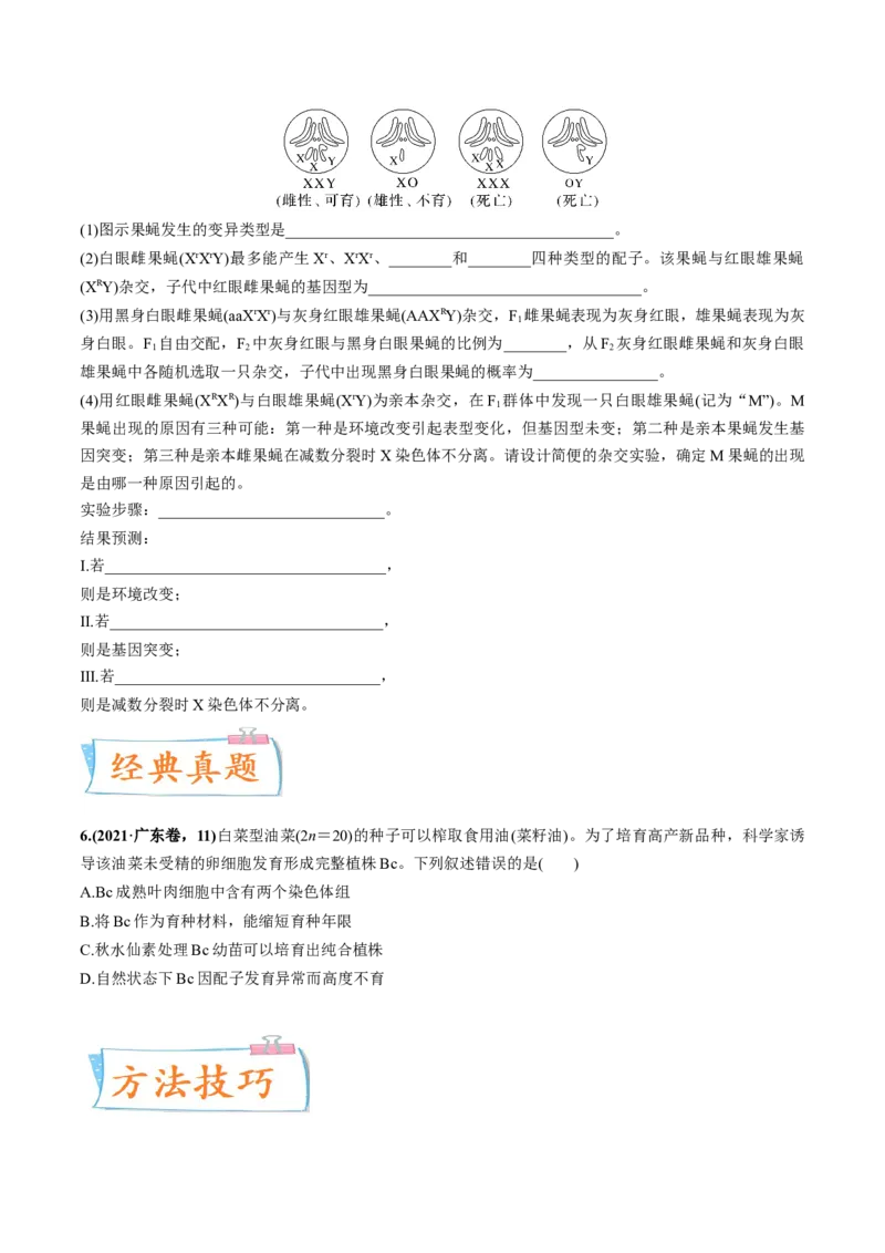 考向14基因突变及其他变异-备战2023年高考生物一轮复习考点微专题（全国通用）（原卷版）(1)_通用版（老高考）复习资料_2023年复习资料_一轮复习