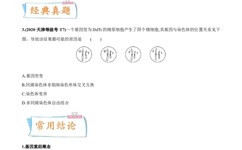 考向14基因突变及其他变异-备战2023年高考生物一轮复习考点微专题（全国通用）（原卷版）(1)_通用版（老高考）复习资料_2023年复习资料_一轮复习