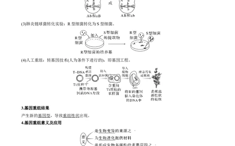 考向14基因突变及其他变异-备战2023年高考生物一轮复习考点微专题（全国通用）（原卷版）(1)_通用版（老高考）复习资料_2023年复习资料_一轮复习