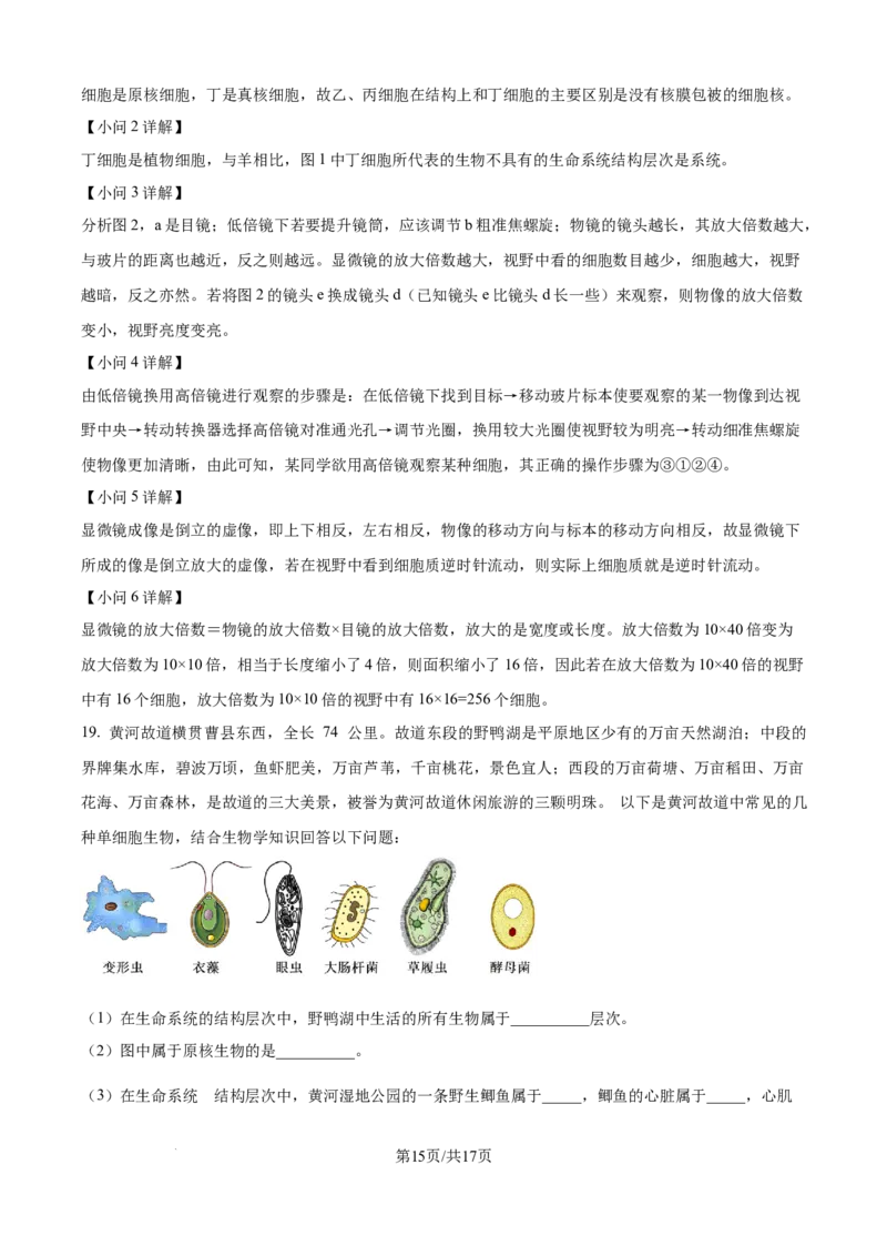精品解析：山西省朔州市大地高中2025-2026学年高一上学期第一次月考生物试题（解析版）_2025年10月高一试卷_251011山西省朔州市怀仁市大地高中学校2025-2026学年高一上学期第一次月考