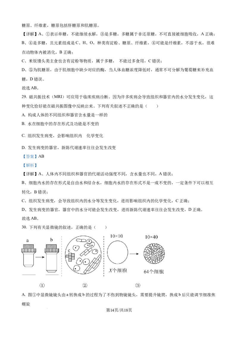 精品解析：河北省衡水市冀州区河北冀州中学2025-2026学年高一上学期10月月考生物试题（解析版）_2025年11月高一试卷_251106河北省冀州中学2025-2026学年高一上学期第二次月考